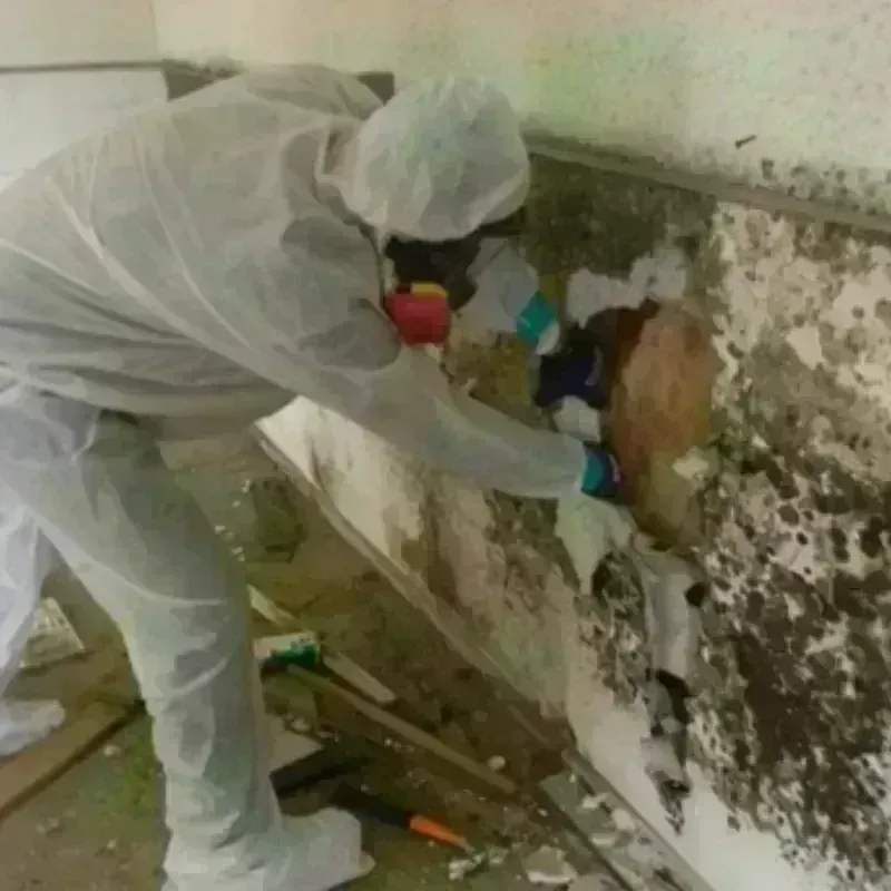 Mold Remediation and Removal in Bowling Green, MD