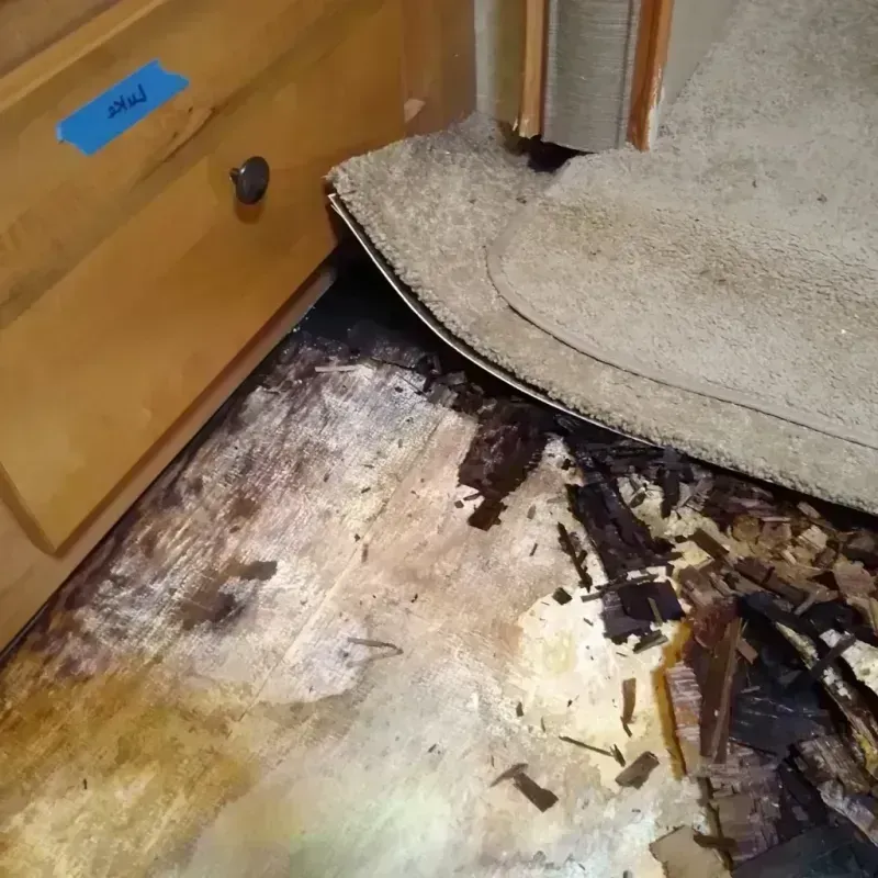 Wood Floor Water Damage in Bowling Green, MD